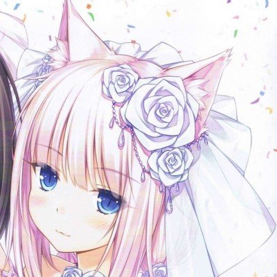 “粉色蓝莓”被炒到400元一斤